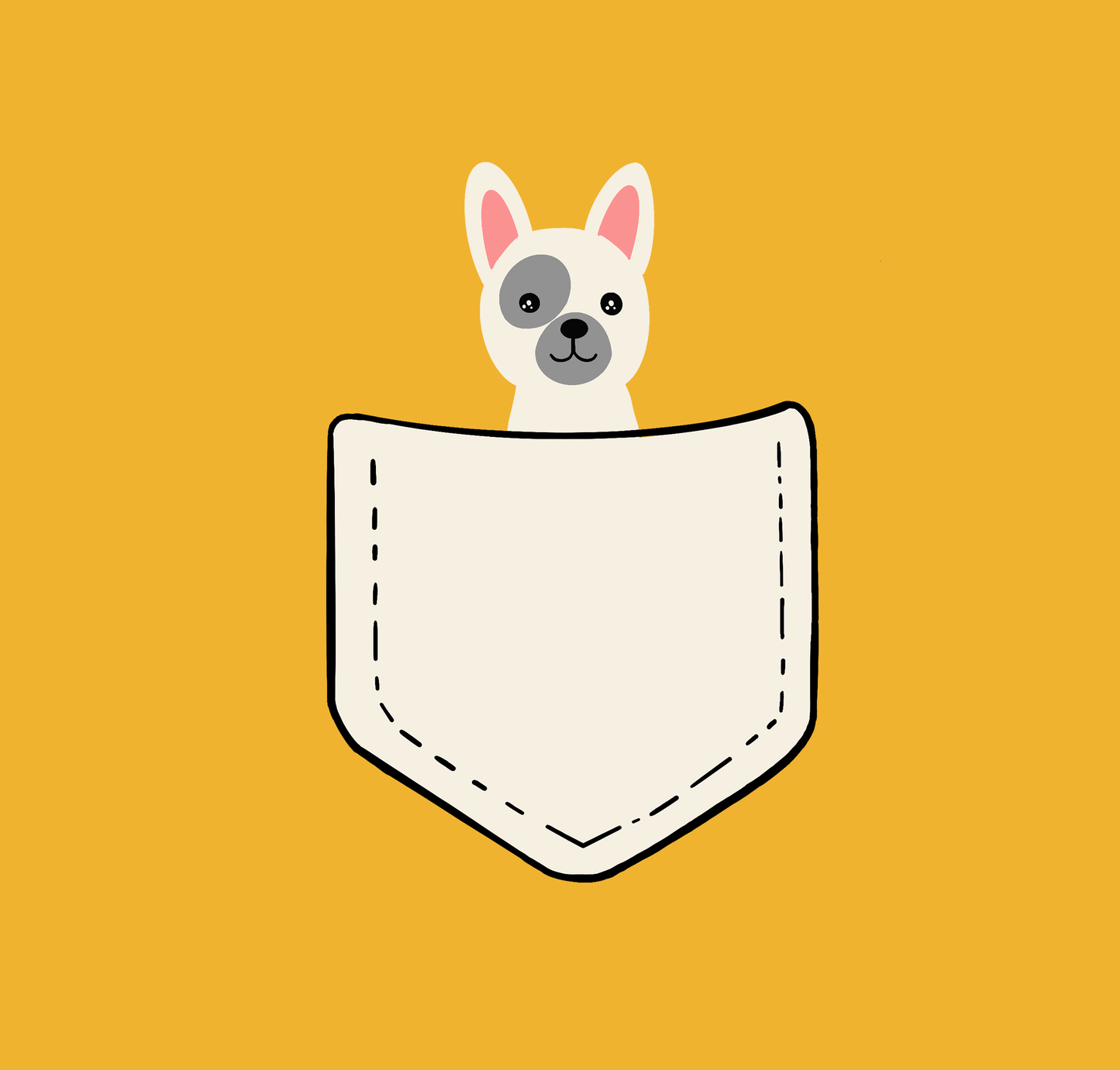 " CUTE BULLY " - HALF SLEEVE POCKET DESIGN CROP TOPS