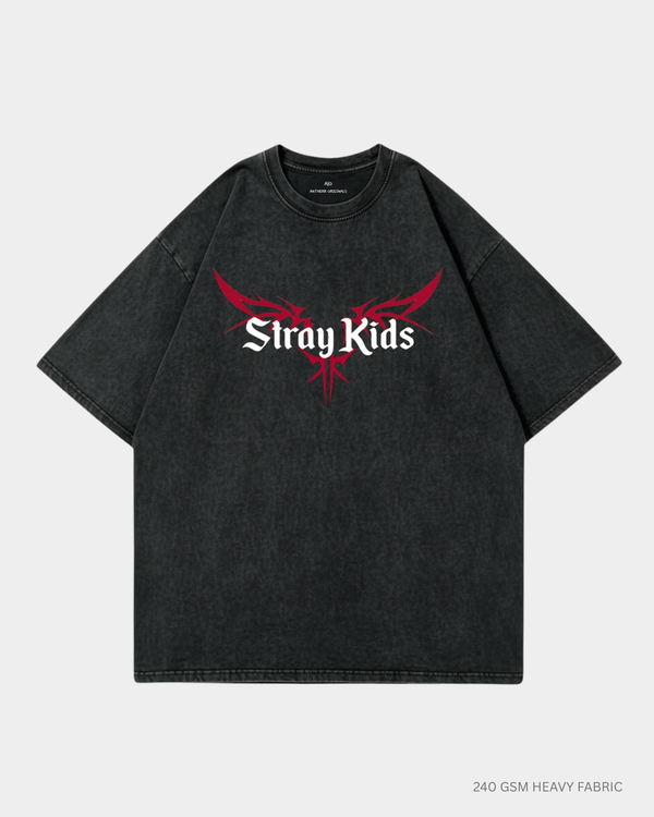 Straykids Oversized T-Shirt India | Antherr Core